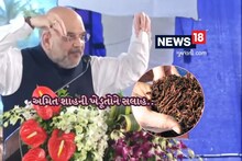 અમિત શાહની ખેડૂતોને પ્રાકૃતિક ખેતી તરફ વળવાની હાકલ, દુનિયામાં મોટું ઉદાહરણ બનવાની સલાહ
