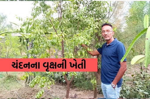 જીતેન્દ્ર