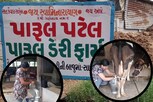 શિક્ષકની નોકરી છોડી પારૂલબેને આ વ્યવસાય અપનાવ્યો, વર્ષની કમાણી જાણીને ચોંકી ન જતા!