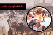Deesa: આ ગૌ શાળામાં ખરા અર્થમાં અબોલ પશુ પક્ષીઓની થાય છે સેવા, આવી રીતે લેવાય છે કાળજી