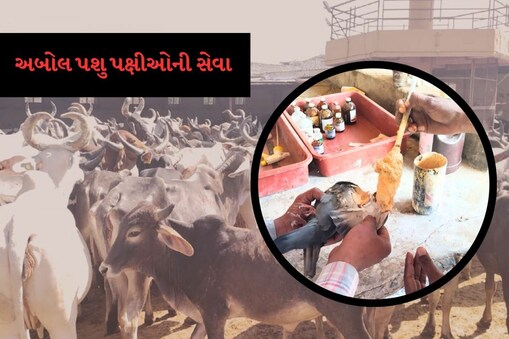 ડીસાની