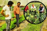 વૈજ્ઞાનિકે આ પદ્ધતિથી 45 હજાર ખેડૂતોની આવક વધારી દીધી, ખેતીમાં આટલા પ્રયોગ કર્યા