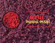 Bharuch news: લાલ મરચાનાં ભાવે લોકોને દઝાડ્યા, કાશ્મીરી, રેશમ પટ્ટાનાં આટલા છે ભાવ