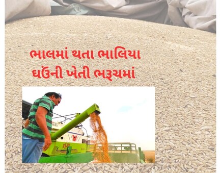 દરેક