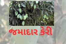 Bhavnagar : આ 'જમાદાર' નો રસ પીવા તો વિદેશીઓ પણ રાહ જોઇને બેસે છે