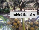 નાળિયેરીમાં  સફેદ માખીનો રોગ આવ્યો છે, ઉત્પાદન પર પડી અસર, અટકાવવા આટલું કરવું