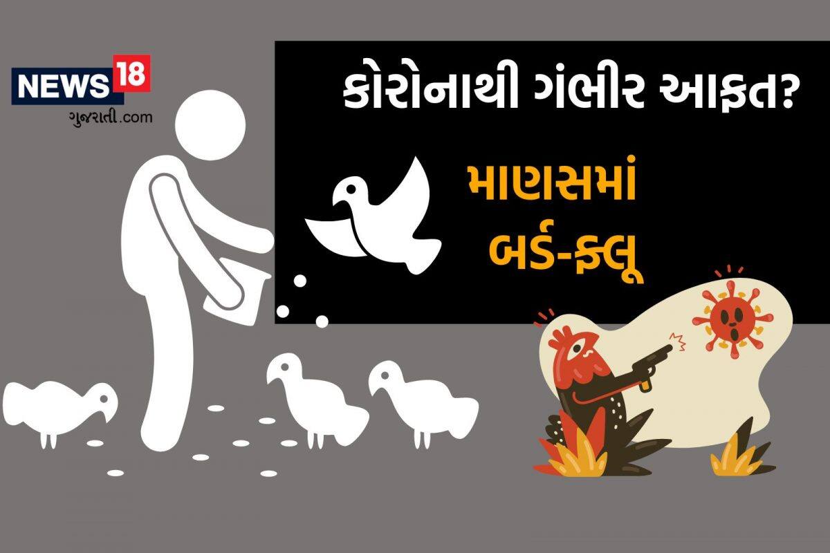 માણસમાં ફેલાયો બર્ડ ફ્લુ! અહીં H3N8નો પ્રથમ કેસ નોંધાતા હાડકંપ, વૈજ્ઞાનિકો પણ ટેન્શનમાં