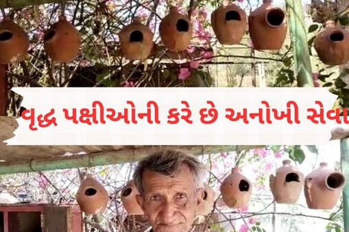 છેલ્લા