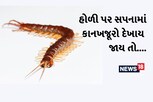 HOLI 2023: હોળીના દિવસે જીવતો કાન ખજૂરો દેખાય તો સમજી જજો કે....
