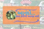 માવઠાનાં માર વચ્ચે કેસર કેરીની આવકમાં વધારો, 10 કિલોનાં 1000 સુધી ભાવ રહ્યાં