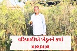 ઓર્ગેનિક વરિયાળીએ ખેડૂતને કર્યા માલામાલ, જાણો ખેડૂતની શું છે સલાહ?
