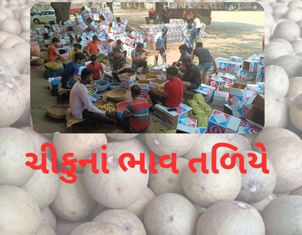 ચીકુનાં