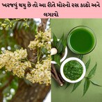 ખરજવું થયુ છે તો લીમડાનો રસ આ રીતે લગાવો..રાહત થઇ જશે  