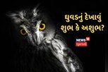 ઘુવડનું દેખાવું શુભ કે અશુભ? જાણો શું કહે છે શાસ્ત્રો