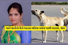 રાજકોટ: શ્વાને સાડીનો છેડો પકડતા મહિલા બાઈક પરથી પટકાઇ, મોત
