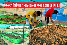 Idar: જાણો કેવી રીતે થાય છે અળસિયાની ખેતી? ખેડૂતોને શું થાય છે ફાયદો