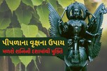 શનિની દશાના નિવારણ માટે અપનાવો આ ઉપાય