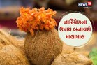 નવરાત્રિમાં નારિયેળના આ ગજબ ઉપાય બનાવશે માલામાલ, ચારે તરફથી આવશે રૂપિયા