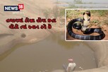 OMG: અહીંયા આવેલું છે 'સાપોનું તળાવ', ભક્તો ડર ભૂલીને કરે છે સ્નાન
