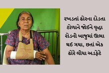 વડોદરા: દવા લઈને ઘરે જઈ રહેલા વૃદ્ધાને રખડતાં ઢોરે લીધા અડફેટે