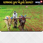 રાજ્યમાં કુલ કેટલા ખેડૂતો? જુઓ સરકારે વિધાનસભામાં જવાબ આપ્યો