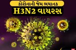 ભારતમાં ઝડપથી વધી રહ્યા છે H3N2ના કેસ, નીતિ આયોગે કહ્યુ, ‘દવા-ઓક્સિજન તૈયાર રાખો’