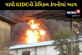 વાપીઃ GIDCની એક કંપનીમાં ભીષણ આગ, 10થી વધુ ફાયર ફાયટરો ઘટનાસ્થળે