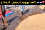 VIDEO: કમોસમી વરસાદથી રાજકોટ માર્કેટ યાર્ડની જણસ પલળી, જેતપુરમાં પણ વરસાદ