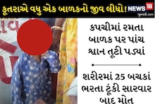 સુરતના પાંડેસરામાં પાંચ શ્વાને બાળક પર હુમલો કર્યો, 25 બચકાં ભરતા ટૂંકી સારવાર બાદ મોત