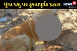 નશામાં ધૂત શખસ મૂંગા શ્વાન પર લાકડી લઈને તૂટી પડ્યો, 15 ફટકા મારી જડબું તોડી નાંખ્યું