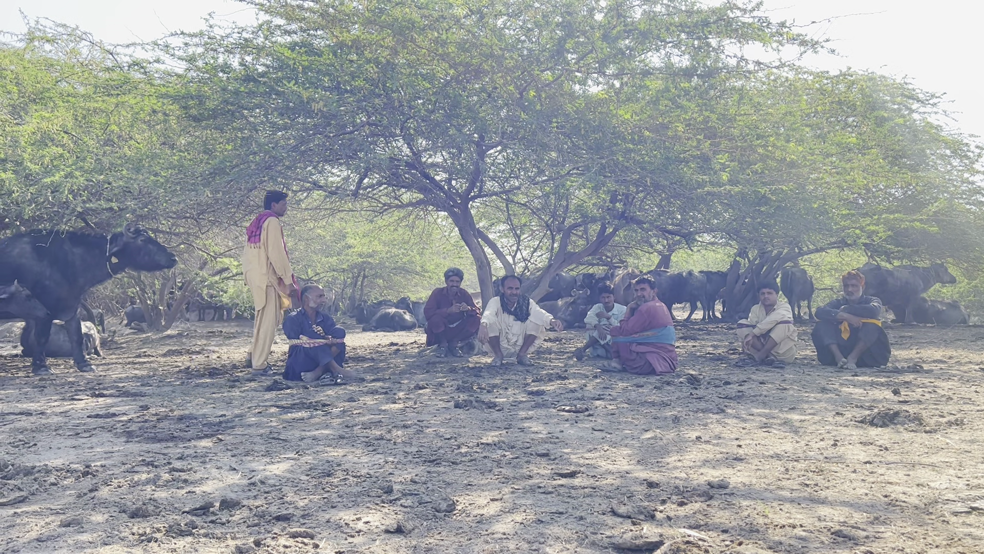  Dhairya Gajara, Kutch: શિયાળા સમયે કચ્છના બન્ની વિસ્તારને રણોત્સવ માટે દુલ્હનની જેમ શણગારવામાં આવે છે, પરંતુ જેમ રણોત્સવ પૂરો થાય અને ગરમીની શરૂઆત થાય તેમ આ વિસ્તાર તરફ કોઈ એક નજર પણ કરતું જોવા ળતું નથી. રણોત્સવમાં યજમાન બની લાખો પ્રવાસીઓને આવકારતો બન્ની વિસ્તાર ઉનાળો શરૂ થતાં જ દર વર્ષની જેમ પાણી માટે તરસી રહ્યો હોય છે. તેના કારણે જ દર વર્ષની જેમ, આ વર્ષે પણ લોકોએ પોતાના ગામમાંથી હિજરત શરૂ કરી છે.
