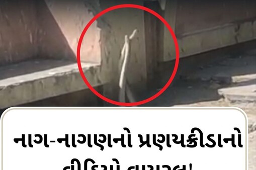 જામનગરમાં