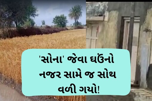 જામનગર