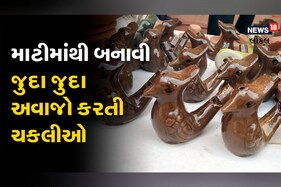 મહિલા આર્ટ એન્ડ ક્રાફ્ટનું આયોજન, જુદા જુદા અવાજો કરતી ચકલીઓ આકર્ષણનું કેન્દ્ર બની