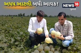 26 વર્ષીય યુવા ખેડૂતે કરી શક્કરટેટીમાં કમાલ! એક લાખના ખર્ચ સામે મેળવી અધધ આવક
