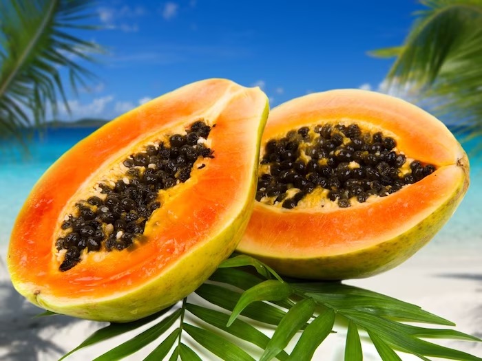 બજારમાંથી પપૈયું ખરીદતી વખતે આ 5 બાબતોનું ધ્યાન રાખો, એકદમ મીઠુ અને શાનદાર પપૈયુ નીકળશે - how to identify sweet papaya 5 buying News18 Gujarati