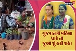 1200 મહિલાઓએ ઘરે શરૂ કર્યો આ બિઝનેસ, છોડના બદલે લે છે પૈસા
