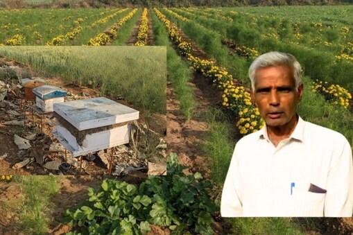 ખેતીમાં