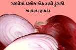 ગરમીમાં દરરોજ એક કાચી ડુંગળી ખાવાના ફાયદાઓ, ડોક્ટરોએ પણ માની આ વાત