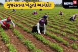 ખેડૂતો માટે સારા સમાચાર, કૃષિમંત્રી રાઘવજી પટેલની મોટી જાહેરાત