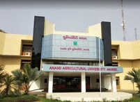 Anand: આ કૃષિ યુનિવર્સિટીએ મકાઈ-કેળા સહિત 26 પાકની નવી જાત વિકસાવી, કેળાની નવી જાત ખેડૂતો માટે ફાયદાકારક