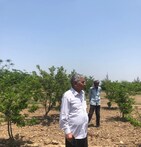 Mehsana: સ્વાસ્થ્યની ચિતા થતા આ બિઝનેસમેને પોતાના ખેતરમાં વાવી દીધા તમામ પ્રકારના ફળ અને શાકભાજી, જુઓ Video
