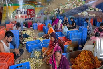60 કિલોથી શરૂ કરેલો અથાણાનો વ્યવસાય આજે 400 ટને પહોંચ્યો, જાણો દાસ કાકાના અથાણાની ખાસિયત