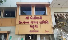 Bhavnagar News: મહુવા માર્કેટ યાર્ડમાં સફેદ તલના થયા ઢગલા, આટલા રહ્યાં ભાવ