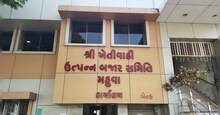 Bhavnagar News: મહુવા માર્કેટિંગ યાર્ડમાં જીરુંના થયા ઢગલા, એક મણના બોલાયા 8,690 રૂપિયા