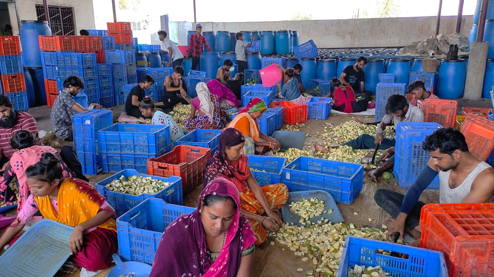 Pickle specialty of Das Kaka pickle business reached 400 tonnes today