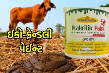 Rajkot: કેમિકલવાળા કલરને આપો તિલાંજલી, અપનાવો ગોબરમાંથી તૈયાર થયેલ કલર