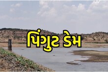 Bharuch : ખેડૂતોને બારેમાસ સિંચાઈ માટે પાણી પૂરૂ પાડે છે આ ડેમ, 10 ગામના ખેડૂતોને થાય છે લાભ