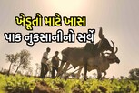 આ રીતે થાય છે પાક નુકસાનીનો સર્વે, જાણો સરકારી સર્વેની તમામ બાબત