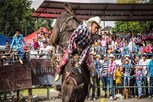 Bull riding કરતાં શખ્સને આખલાએ પટક્યો, પછી તેને કચડી નાખ્યો, જુઓ વીડિયો